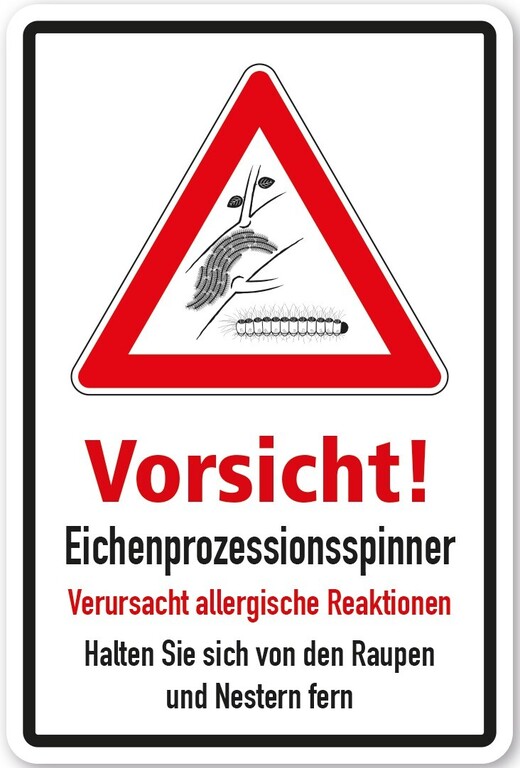 VZ K 92 Vorsicht Eichenprozessionsspinner verursacht allergische Reaktionen Halten Sie sich von den Raupen und Nestern fern mit Abbildung Raupen